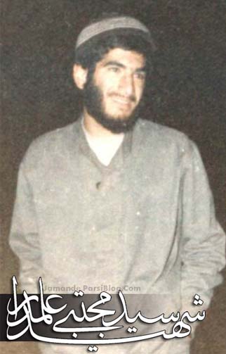 Shahid Seyed Mojtaba Alamdar